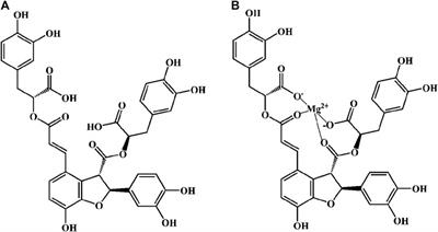Frontiers | Pharmacological Effects of Salvianolic Acid B Against 